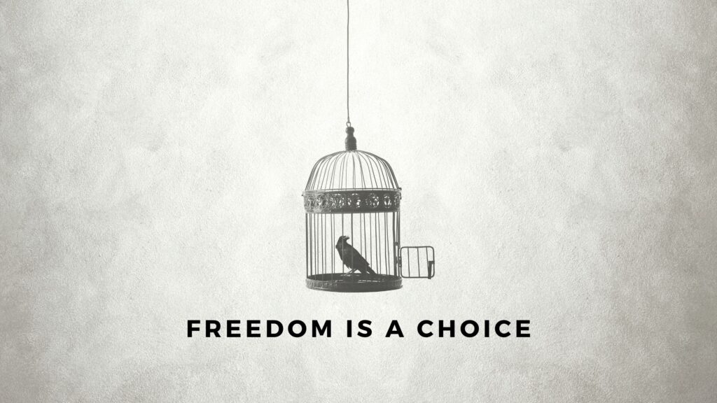 Blog Freedom is a choice